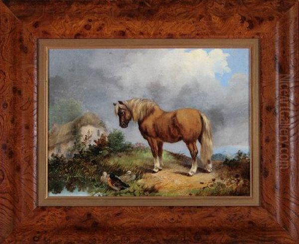 A Pony And Ducks By A Pond Oil Painting by J. Duvall