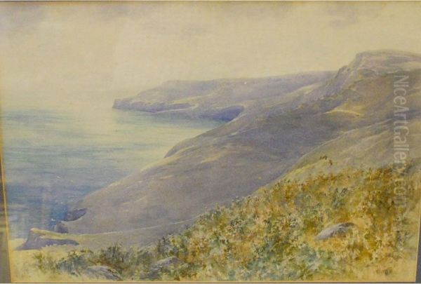 'view Of Saintalbans Head From The Top Of The Cliffs' Oil Painting by William Henry Dyer