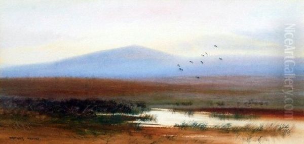 Two Landscape Views Depicting Dartmoor Oil Painting by William Henry Dyer