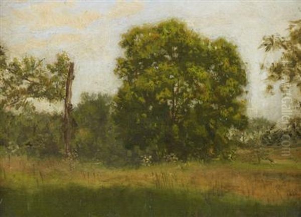 In The Country, Summer Oil Painting by Thomas Cowperthwait Eakins