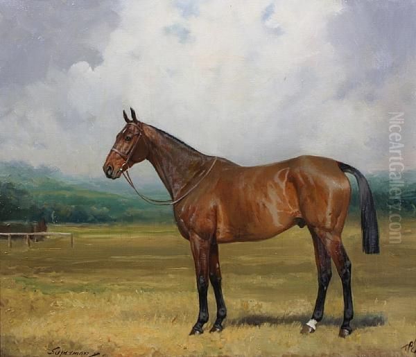 A Light Bay Hunter - 'superman' Oil Painting by Percy Earl