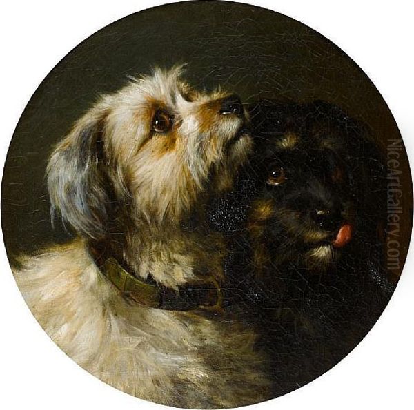 Two Terriers Oil Painting by Thomas William Earl