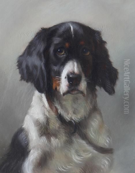 Portrait Of A Spaniel Oil Painting by Thomas William Earl