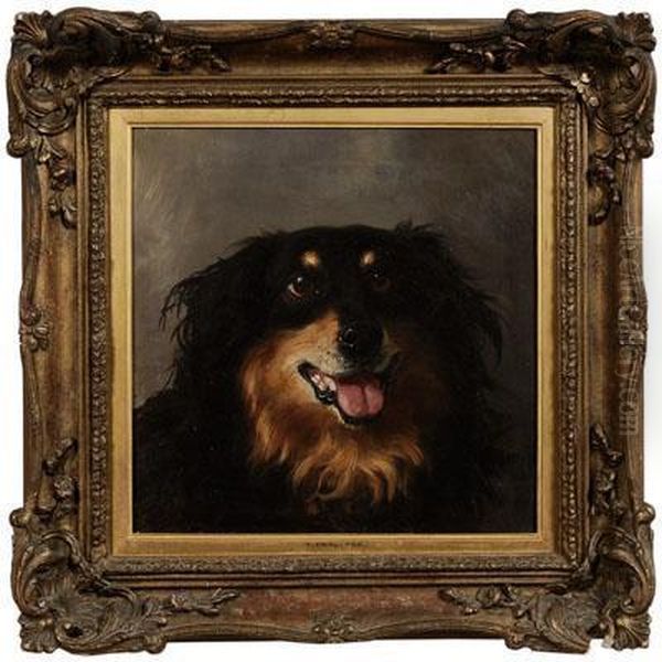 Portrait Of Adog Oil Painting by Thomas William Earl