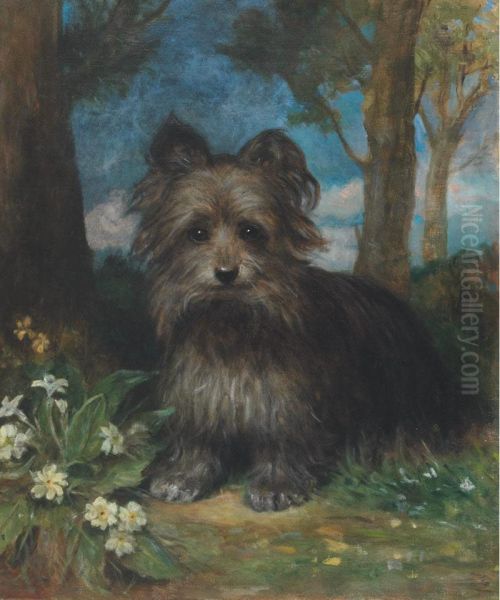 Roy The Terrier In A Wood Oil Painting by Eden Upton Eddis