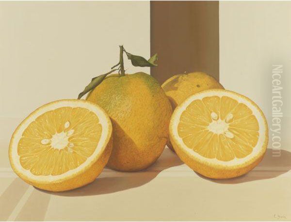 Oranges Oil Painting by Bortk Eduardo