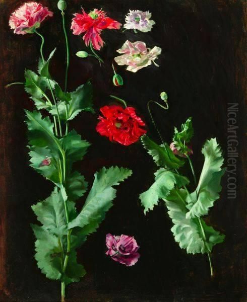 Study Of Flowers Oil Painting by Ernest Edwards