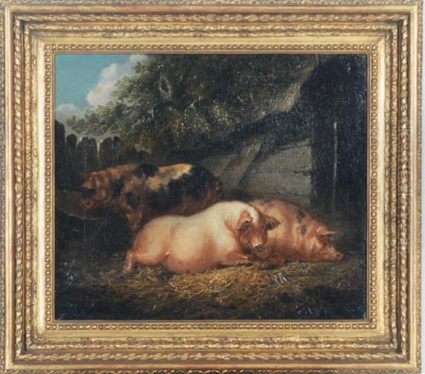 Pigs Resting In A Barn Oil Painting by Sydenham Teast Edwards