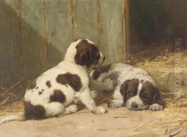 Saint-bernard Puppies by Otto Eerelman