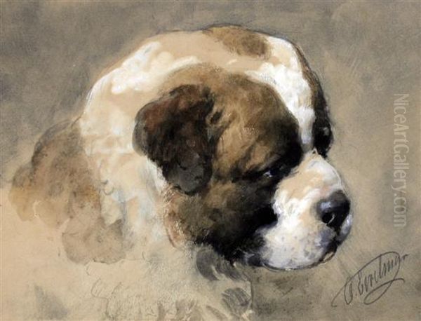 Head Of St Bernard Puppy Oil Painting by Otto Eerelman