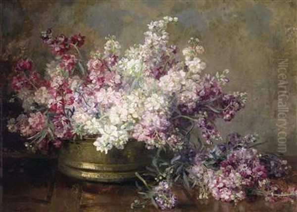 Copper Bowl Filled With White And Pink Matthiola Oil Painting by Marie Egner