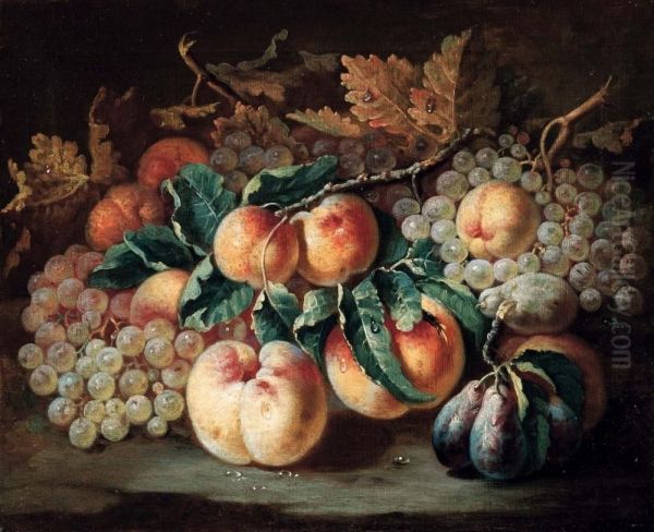 Natura Morta Di Uva, Pesche E Prugne Oil Painting by Johann Conrad Eichler