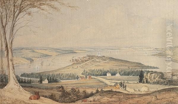 View Of Sydney Harbour, Cape Breton From Hardwood Hill Oil Painting by Duchess Elizabeth Of Sutherland