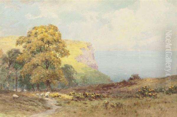 Sheep On A Coastal Path Near Salcombe Head, Devon Oil Painting by Henry Elliot