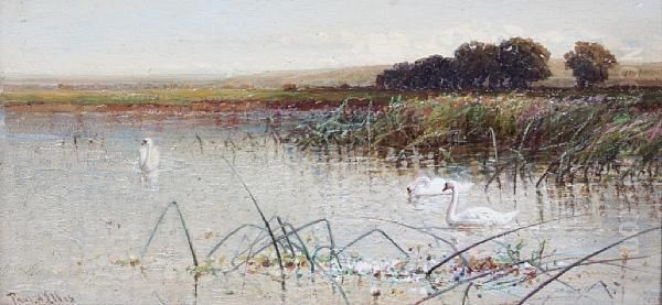 Swans On A River Oil Painting by Paul H. Ellis