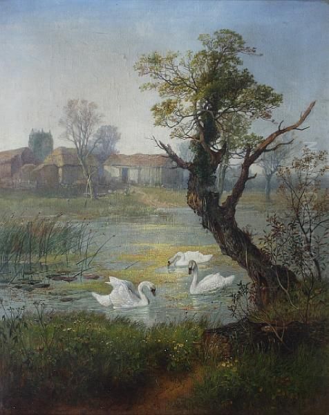 Swans Feeding In A River Oil Painting by Paul H. Ellis