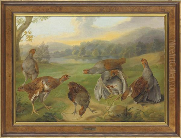 A Covey Of English Partridges In An Extensive River Landscape Oil Painting by Stephen Elmer