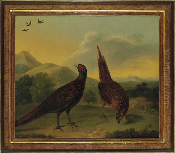 Pheasants In A Landscape Oil Painting by Stephen Elmer