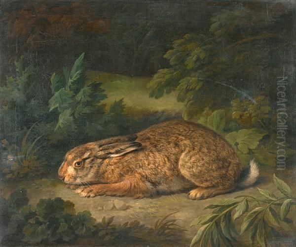 A Hare In A Woodland Clearing Oil Painting by Stephen Elmer