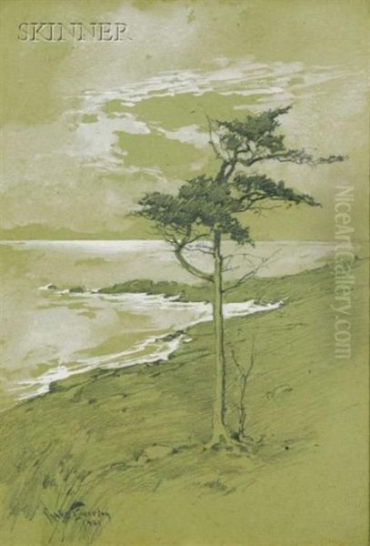 Lone Pine By The Sea/possibly A Monhegan View Oil Painting by Charles Chase Emerson