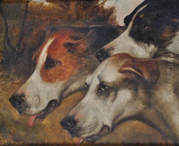 Portrait Of 3 Hounds Oil Painting by John Emms