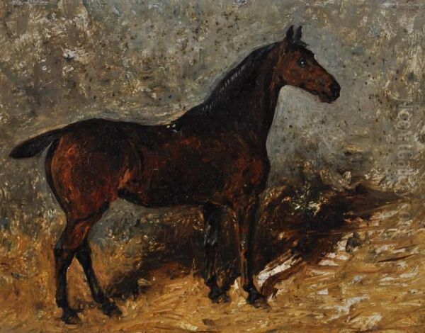 Portrait Of A Horse Oil Painting by John Emms