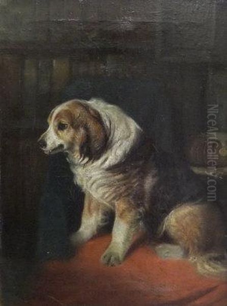 A Spaniel Oil Painting by John Emms