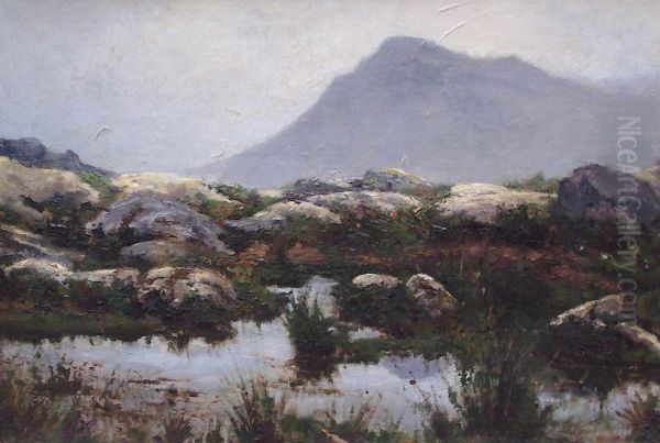 Norwegische Landschaft Oil Painting by Henry Enfield