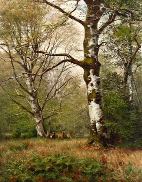 Rehe Auf Der Waldlichtung Oil Painting by Georg Engelhardt