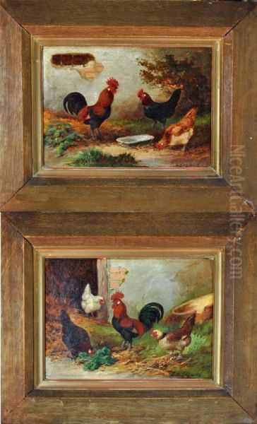 Poultry Studies Oil Painting by E.S. England