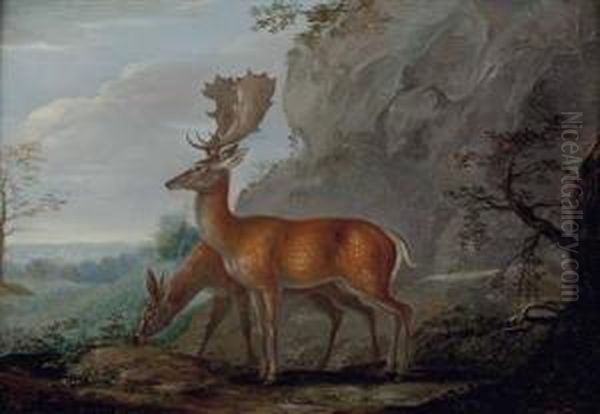 Damhirsch Und Hirschkuh In Landschaft Oil Painting by Anton Enzinger