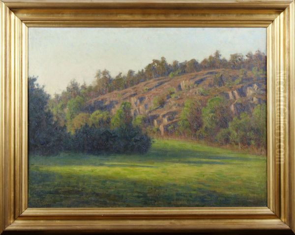 Landskap Oil Painting by Elias Erdtman