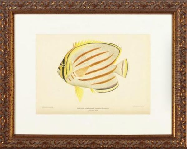 Six Plates Oil Painting by Dr. Barton W. Ermann