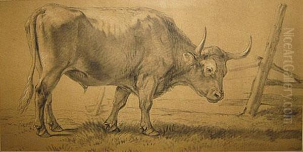 Stier Aan De Afsluiting Oil Painting by Eugene Verboeckhoven