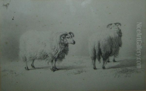 Deux Moutons Anglais Oil Painting by Eugene Verboeckhoven