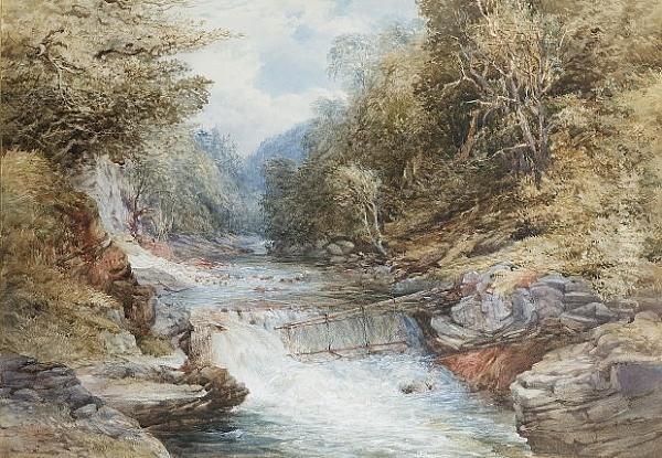 The Salmon Leap Oil Painting by Samuel Thomas George Evans