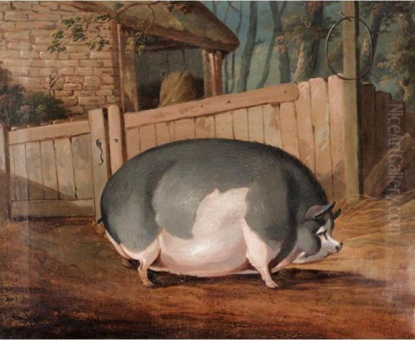 The Yorkshire Sow Oil Painting by J.J. Everard