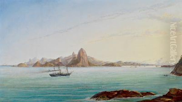 Veduta Del Golfo Di Rio De Janeiro Oil Painting by Nicolau Antonio Facchinetti