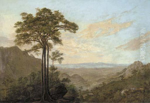 The Bay Of Rio Seen From The Road To Petropolis Oil Painting by Nicolau Antonio Facchinetti