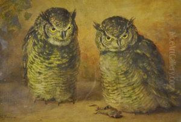 Owls With A Mouse Oil Painting by Frances C. Fairman