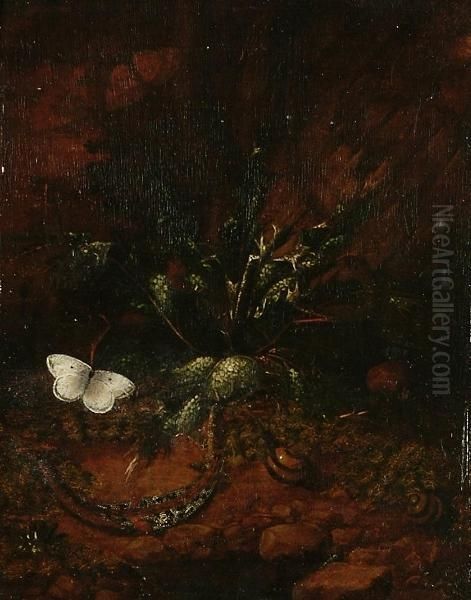 A Forest Floor Still Life With A Lizard, A Dragonfly And Two Butterflies; And A Forest Floor Still Life With A Lizard, Snails And Butterflies Oil Painting by Johann Falch