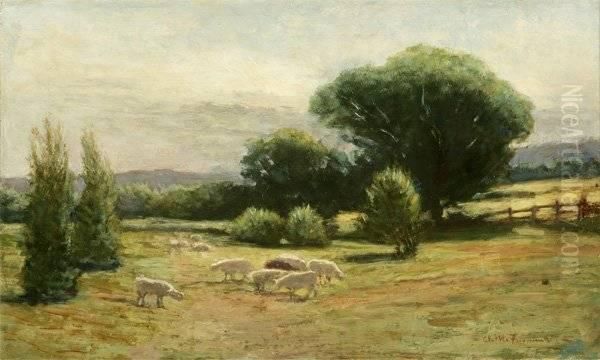 Sheep In A Summer Landscape Oil Painting by Ammi Merchant Farnham