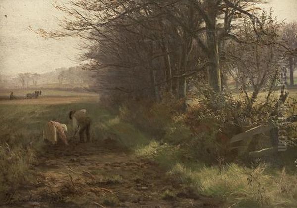 Fields In October Oil Painting by David Farquharson