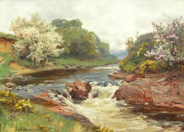 Blossom By The River Oil Painting by David Farquharson