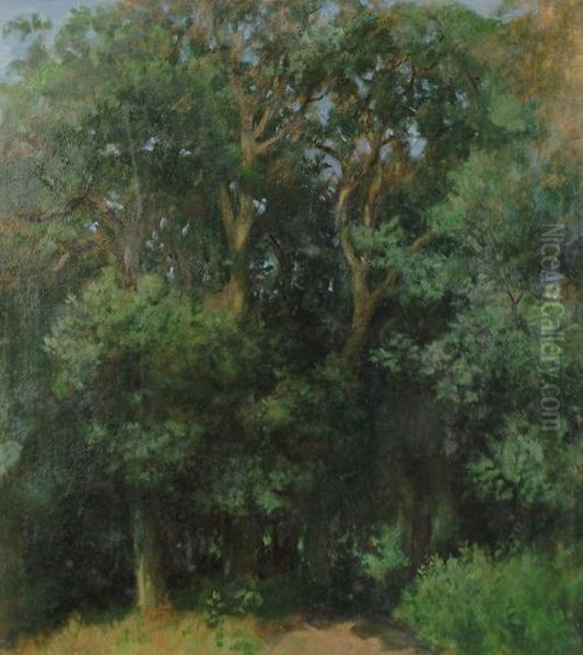 Trees In Summer Oil Painting by Charles Brooke Farrar