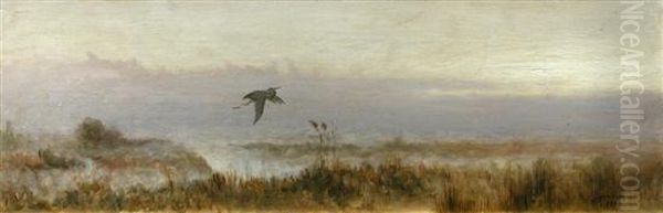 A Heron In Flight Oil Painting by Robert Farren