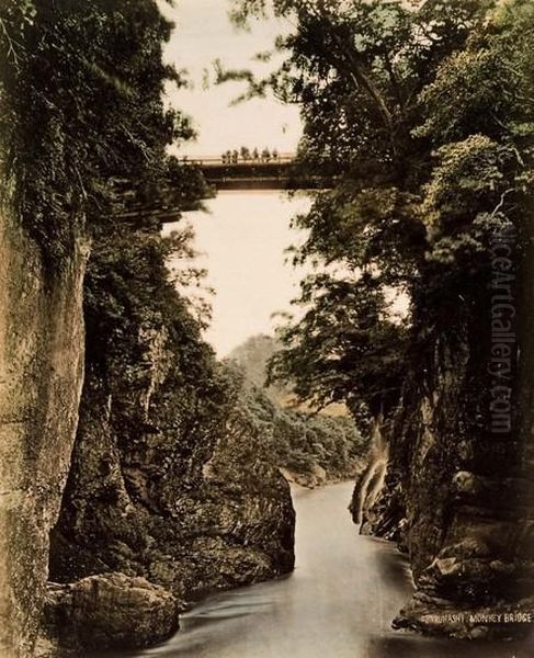 Giappone. Sarubashi Monkey Bridge. Oil Painting by Adolfo Farsari