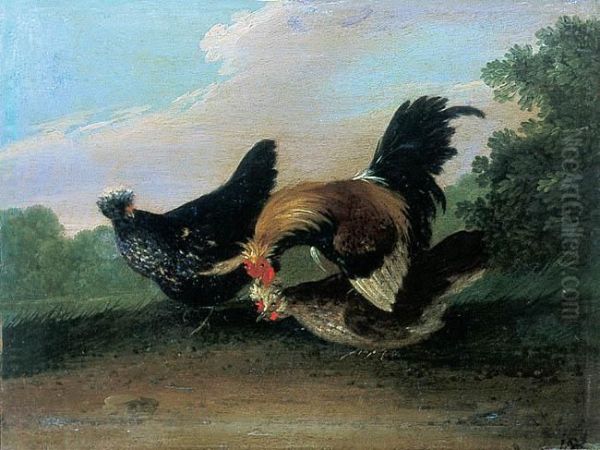 Kogut I Kury W Pejzazu Oil Painting by Johann Adam Fassauer