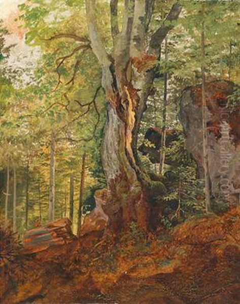 Waldstudie, Ruckseitig Alt Bezeichnet Oil Painting by Josef Feid