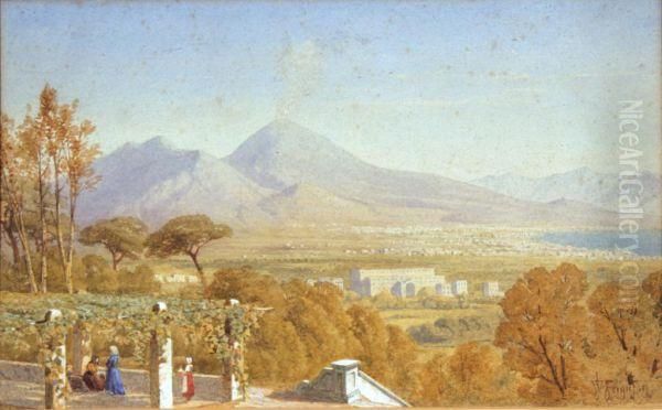 Napoli Con Vesuvio Oil Painting by James Ferguson